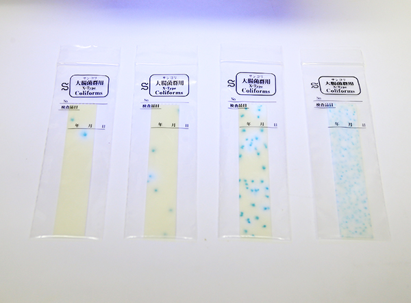 酵素（Ｘ-type）大腸菌群検出紙