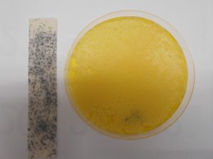 黄色ブドウ球菌 3×10²cfu/g以上