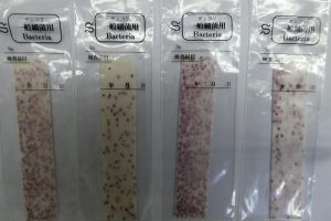 一般細菌検出紙、左-使用前変色あり、右-使用前変色なし